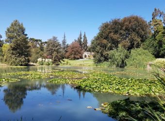 Vinícola Concha y Toro, a maior do Chile: Como ir por conta!