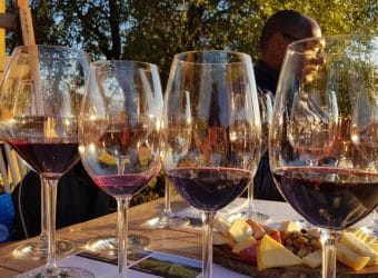 Valle Colchagua, Chile: melhores vinícolas, passeios e hospedagens em 2024