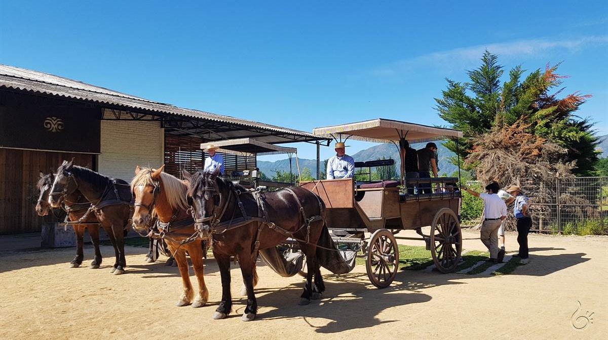 Viu Manent: a vinícola queridinha  dos brasileiros no Valle de Colchagua