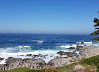 Bate e volta saindo de Santiago: Isla Negra e a maior piscina do mundo