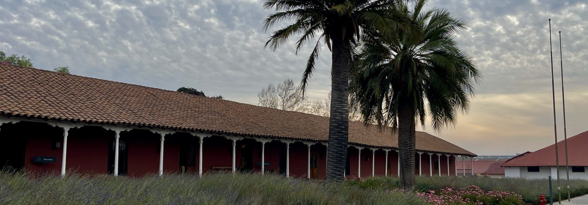 Um dia na vinícola Santa Rita: almoço, tour e degustação