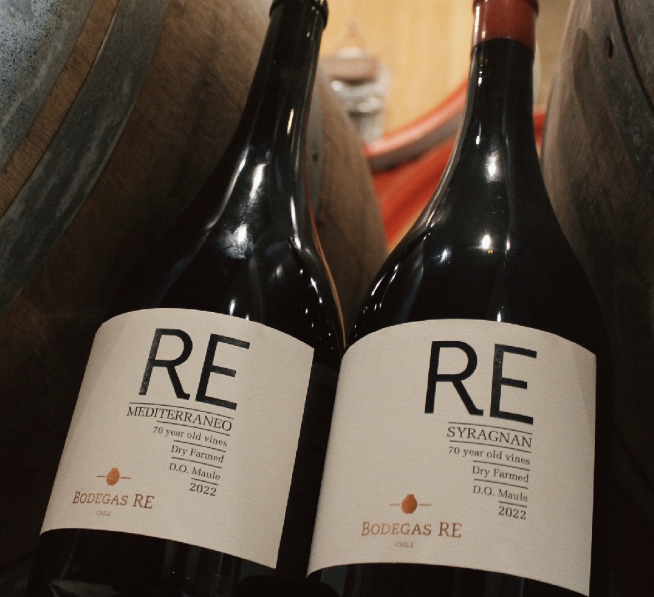 Top 10: lista dos meus vinhos chilenos preferidos